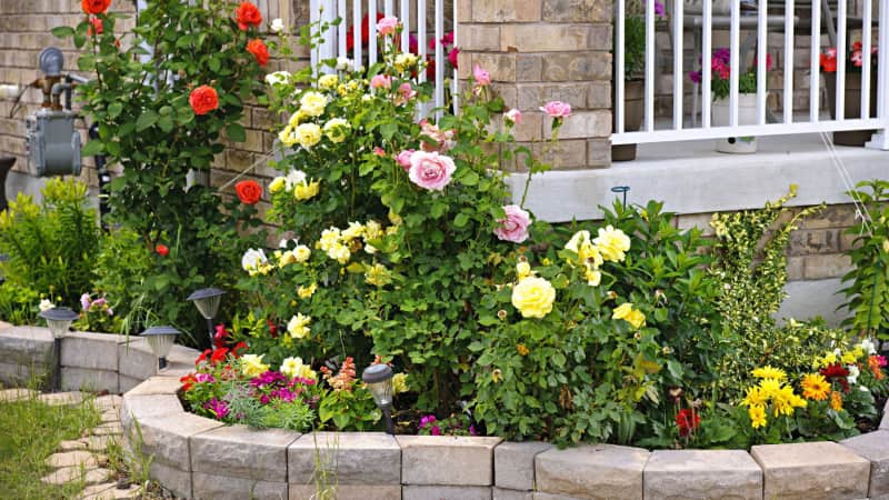 Giardino fiorito davanti alla casa